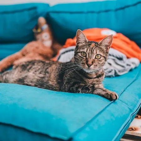 Hostel La Ventana Azul Surf Las Palmas / Gran Canaria