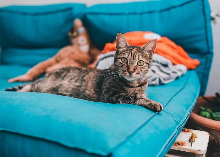 Vandrerhjem La Ventana Azul Surf Las Palmas de Gran Canaria