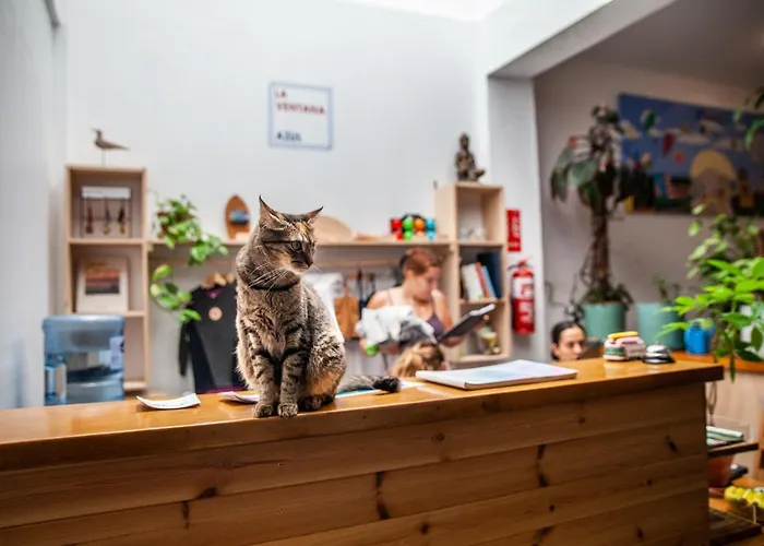 Vandrerhjem La Ventana Azul Surf